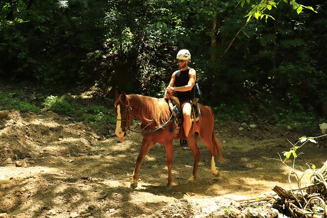 Horseback riding in the mountains of Puerto Vallarta - Tequila Tasting: What You Get, Who Leads It, and How to Enjoy It