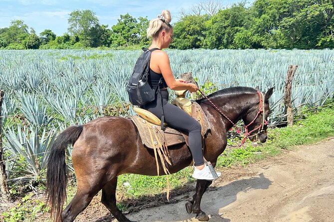 Horseback Riding & Swim: Tequila Tasting, BBQ & Margaritas - The Full Timing and What “5 Hours” Feels Like in Real Life