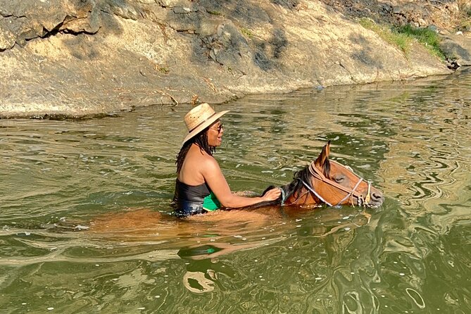 Horseback Riding & Swim: Tequila Tasting, BBQ & Margaritas - Cost and Value: Is $113.26 a Good Deal?