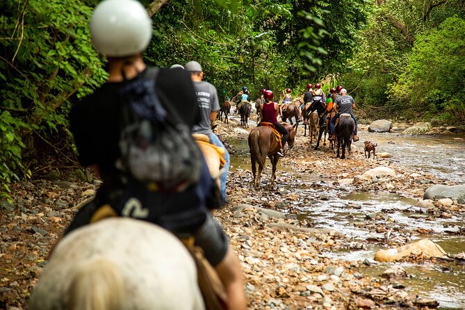 Horseback Riding Tour in Sierra Madre from Puerto Vallarta - The Waterfall Plan: Dismounting, Hanging Bridges, and Stair Work