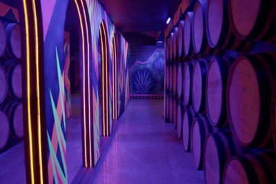 Immersive Experience & Tequila Tasting in Puerto Vallarta - The 90-minute pacing: small group, real interaction