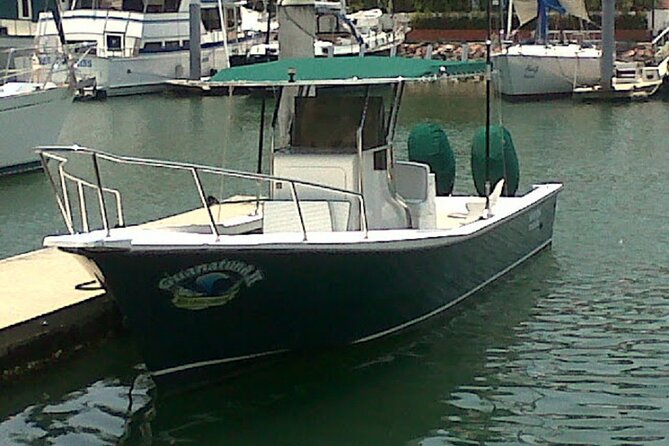 Inshore Fishing 4-Hour Puerto Vallarta Charter - What’s Not Included: Plan for Food, Drinks, and the Port Fee