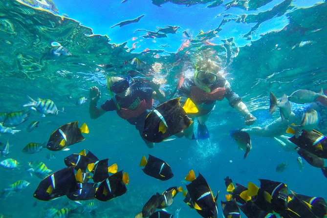 Islas Marietas & BBQ lunch at Majahuitas - Should You Book Islas Marietas & Majahuitas?
