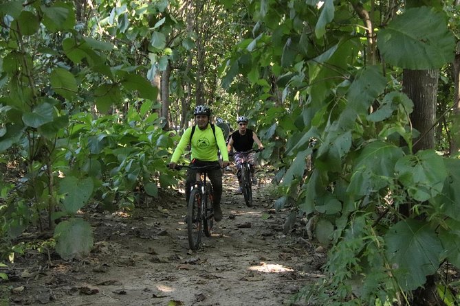 Jungle Bike Tour - Entering Rancho El Jaguar: How the Trail Setting Feels