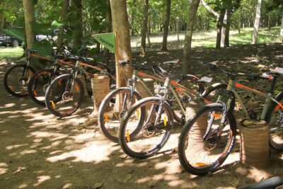 Jungle Bike Tour - Terrain and Skill Level: Beginner-Friendly in Parts, Spicy in Others