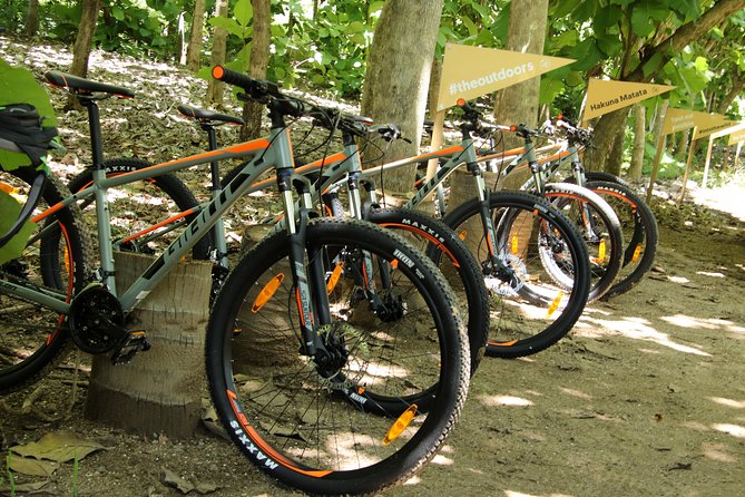 Jungle Bike Tour - Pickup Points Around Banderas Bay: Where You’ll Meet the Van