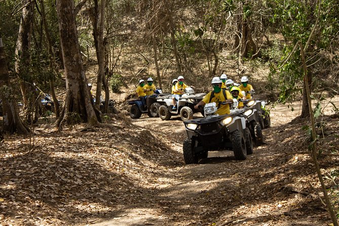 Jungle double ATV Tour "El Mirador" (ride tandem on ATV) - Jungle Double ATV Tour El Mirador: the quick reality check