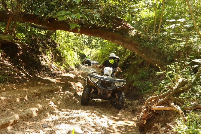 Jungle double ATV Tour "El Mirador" (ride tandem on ATV) - Riding through forest and mountains: what the trail time feels like
