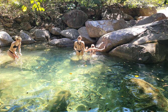Jungle hike to palo maria Waterfalls - Price and Value: Is $40 Worth It for a Half-Day Guided Hike?