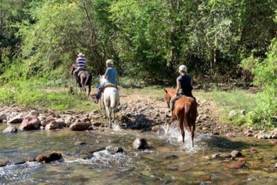 Jungle HorseBack Adventure to Las Palmas Waterfall All Included - Riding Setup and First-Timer Comfort (No Experience Needed)