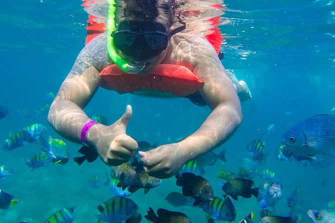 Las Caletas Beach & Adventure Park with buffet lunch and open bar - Animal encounters and the extras that cost more