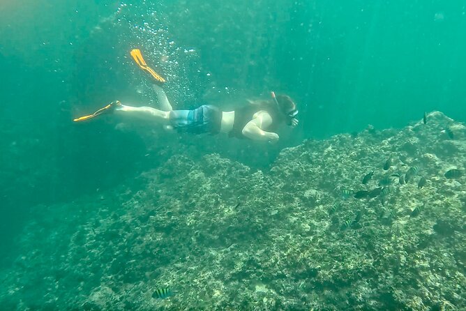 Los Arcos Snorkeling & 5 Island Adventure - The beach after: Mismaloya time is yours to control