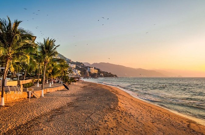Love on the Boardwalk in Puerto Vallarta - Private - Who This Private “Boardwalk + Botanical” Tour Fits Best