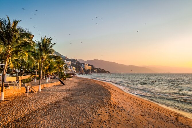 Love on the Boardwalk in Puerto Vallarta - Private - Price and What You’re Really Paying For ($372 Per Person)