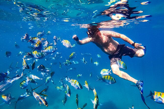 Luxury Yacht & Snorkel with All inclusive Open bar and lunch - Crew and service: what really makes it feel VIP