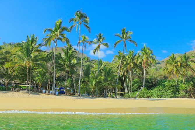 Majahuitas All inclusive Beach Day - Majahuitas Beach Day: What Makes It Different From a Typical Beach Stop