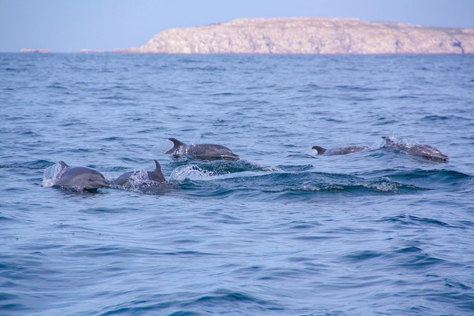 Marietas Hidden beach trip from Puerto Vallarta - Snorkeling on the Marietas Islands: Short but Focused