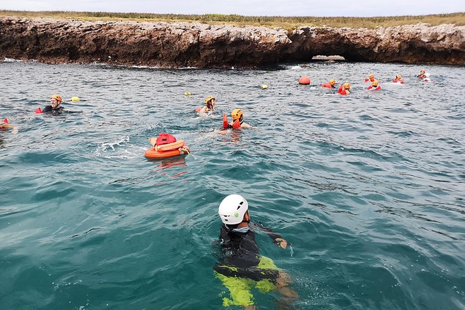 Marietas Islands Snorkel Tour & Hidden Beach - The boat ride from Marina Vallarta: where wildlife can show up