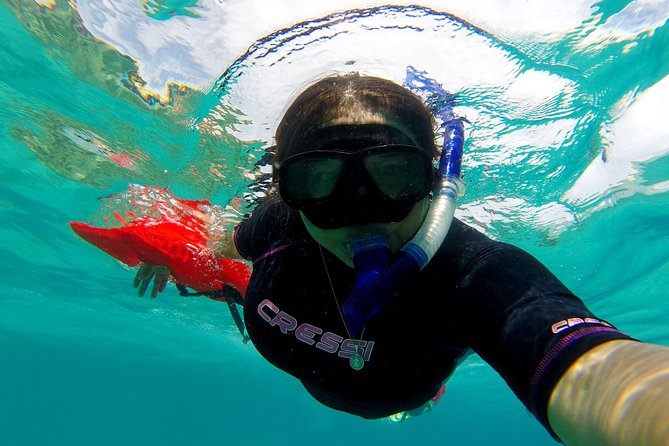 Marietas Islands snorkeling & Hidden beach (w/ restrictions) - What this tour is really about