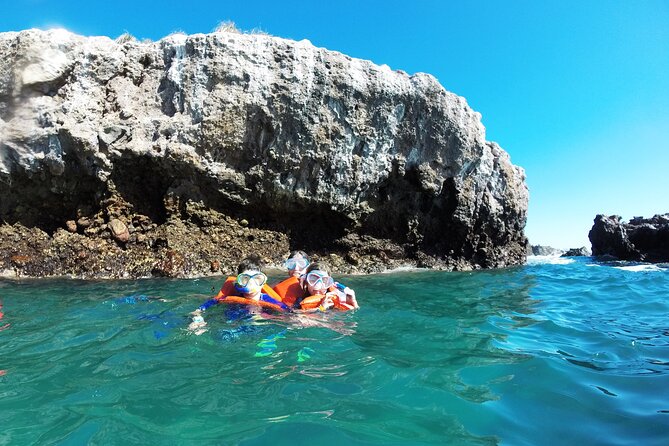Marietas Islands snorkeling & Hidden beach (w/ restrictions) - Marietas Islands snorkeling: the main event