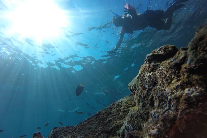 Marietas Islands Snorkeling Tour - Stop 1: Puente de Piedra crater views and blue-footed booby watching