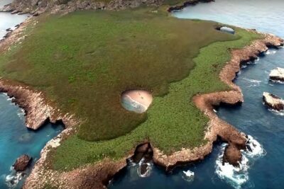 Marietas Islands with Guaranteed Entry to Playa Escondida - The 7-Hour Flow: Breakfast to Water Time to Return