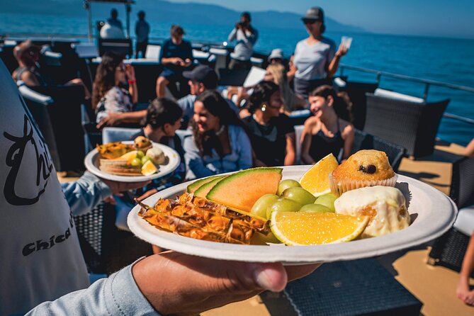 Mega Catamarans ALL INCLUSIVE Remote Paradise Beach Adventure - The return to Puerto Vallarta: music, dancing, and marine life spotting