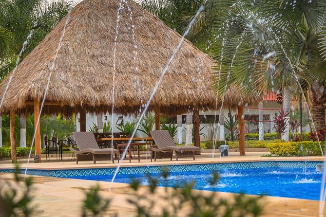 Mexican Cooking Experience & Unlimited Margaritas - Getting to La Dulce Vista: The Road, the Time, the Reality