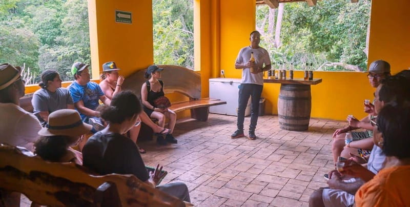 Mexico: Puerto Vallarta City Tour - Price and Value: Is $40 a Good Deal?