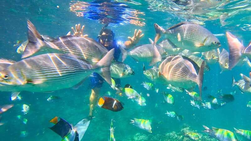 Mismaloya: Snorkeling, Cliff Jumping, and Beach Tour - Getting to the boat: the Pemex-OXXO meeting point in Mismaloya