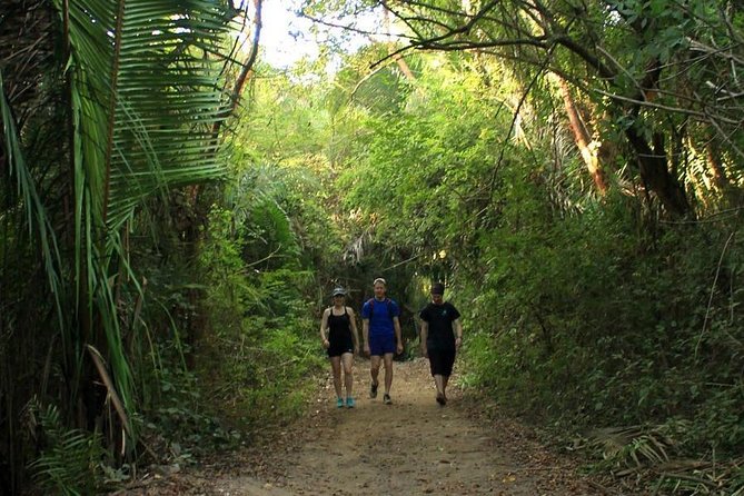 Monkey Mountain Jungle Hike Adventure - Guide Quality: Names You Might Hear (and Why It Matters)