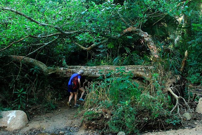 Monkey Mountain Jungle Hike Adventure - What to Pack: The Short List That Keeps You Comfortable