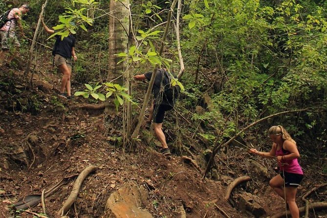 Monkey Mountain Jungle Hike Adventure - Who Should Book Monkey Mountain, and Who Might Skip It