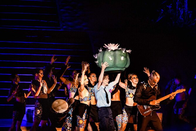 Night Rhythms - Alma - Show and Dinner in Puerto Vallarta - From Vallarta Adventures to Las Caletas: how the evening starts