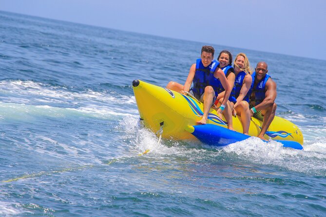 Ocean Mania & water park experience in Puerto Vallarta - Marine Mammal Center Encounter: A Real Wildlife Moment in the Middle of the Chaos