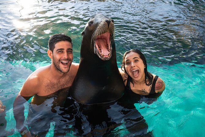 Ocean Mania & water park experience in Puerto Vallarta - Step-Up and Spinner: When Age, Height, and Body Limits Shape the Day