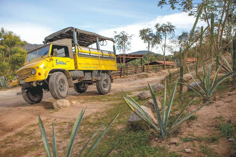 Outdoor Zipline Adventure - The Puerto Vallarta Block That Packs a Lot In