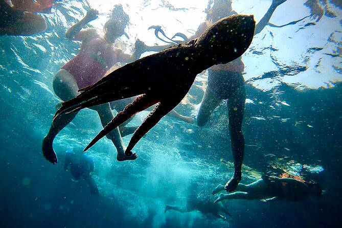 Paddleboard and Snorkeling Experience in Los Arcos - Inside the Caves: Where the Scenery Gets Real