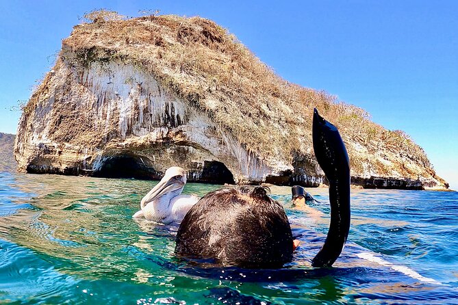 Paddleboard and Snorkeling Experience in Los Arcos - Snorkeling at Los Arcos: Your Natural Aquarium Stop