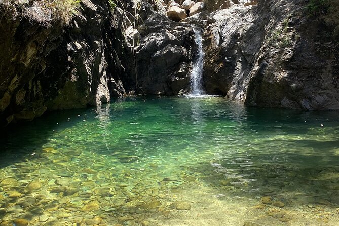 Palo María Waterfalls Hike Half-Day Tour - Price and value: $89.61 for a small-group, water-and-adventure hike