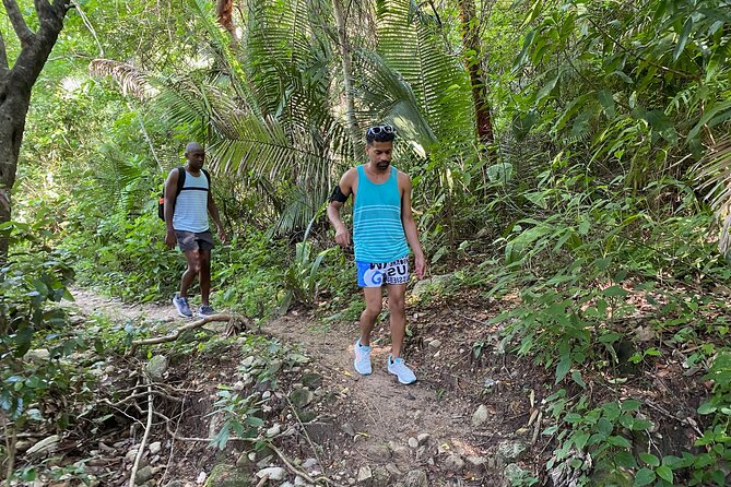 Palo María Waterfalls Hike Half-Day Tour - Who should book this Palo Maria Waterfalls hike, and who should pass