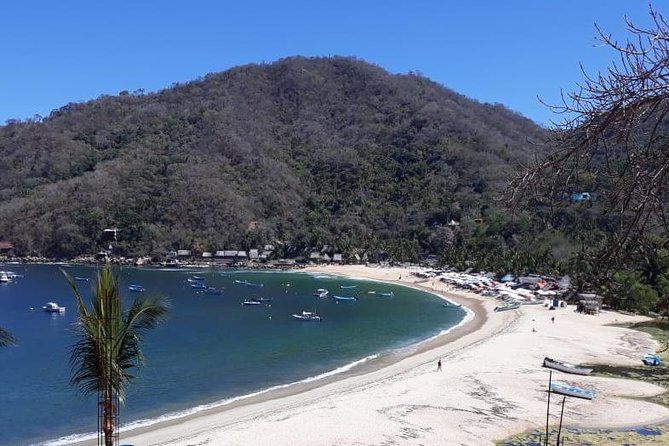 Private Boat Tour to Yelapa - Private boat to Yelapa: the vibe and what you’re really paying for