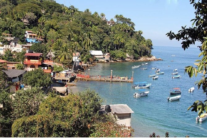 Private Boat Tour to Yelapa - Cruising the bay: the Puerto Vallarta views you can’t fake