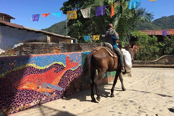 Private Boat Tour to Yelapa - Snorkeling on an underwater reef: what you’re likely to see