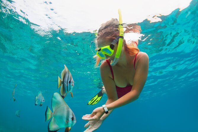 Private Boat Tour to Yelapa and Majahuitas Snorkel (up to 7 guests) - Who should book this: snorkelers, small groups, and Yelapa lovers
