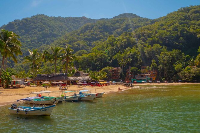 Private Boat Tour to Yelapa with Snorkeling and Waterfall Hike - Setting sail from Los Muertos Pier at 9:30 am