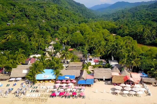 Private Boat Tour to Yelapa with Snorkeling and Waterfall Hike - Price, private value, and what your $220 really buys