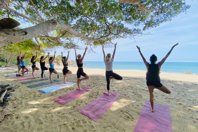 Private Customized Group Yoga Class with Wanderlust Sayulita - Price and Value: $30 Per Person for a Private Class