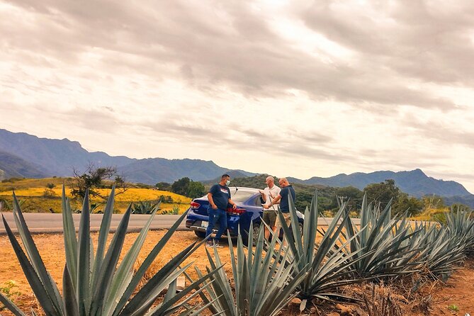 Private day trip to Magical San Sebastián del Oeste. - The Heart of the Day: Agave Fields and the Spirits Connection
