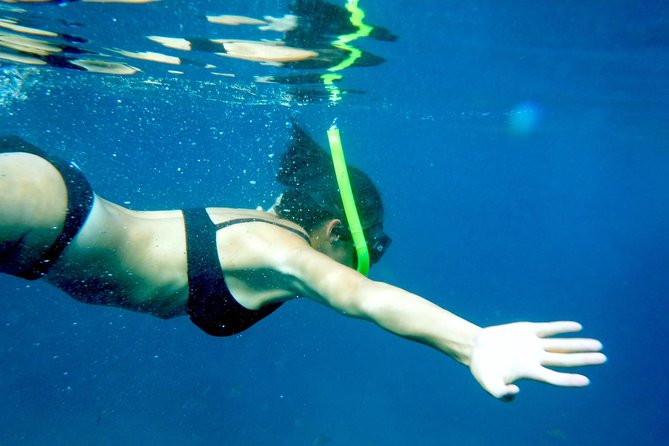 Private Los Arcos Snorkel and Beach Tour from Puerto Vallarta - Key things to know before you go